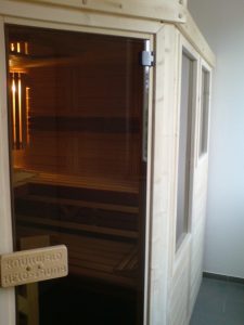Sauna Ganzglas Rauchglas Tür mit 2 Seitenfenstern
